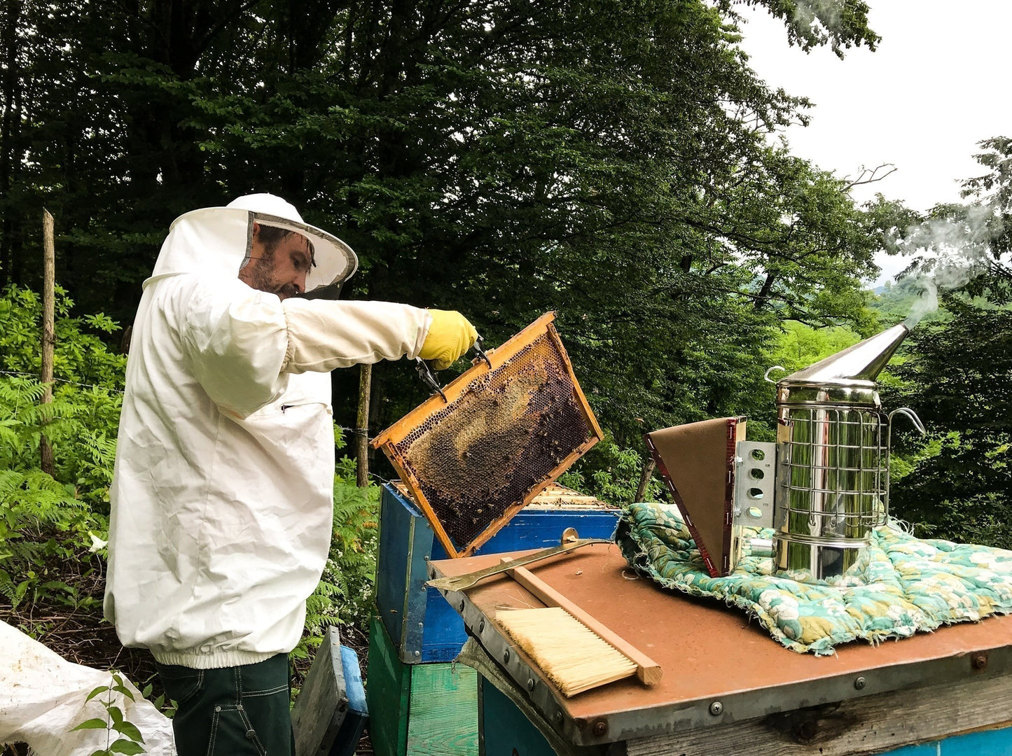 Renegade Beehive