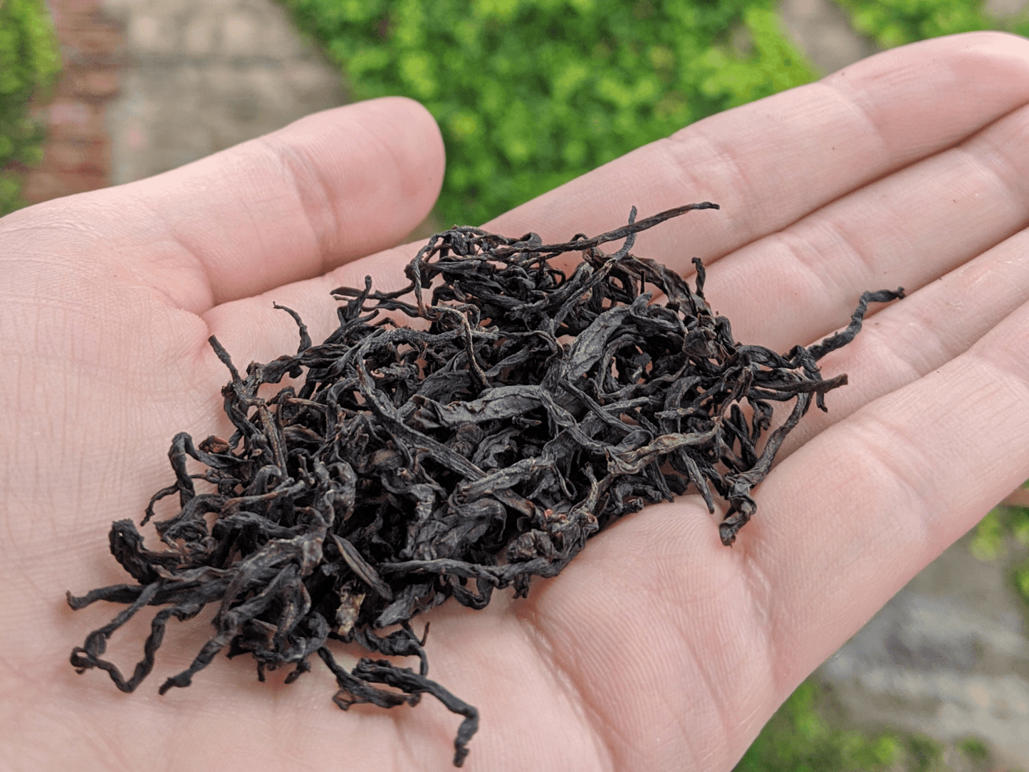 Bilberry Beta - herbal tea