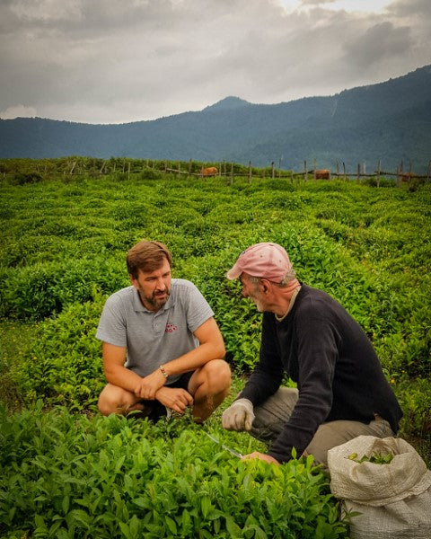 14. Kolektyvinis protas ir Komforto burbulas