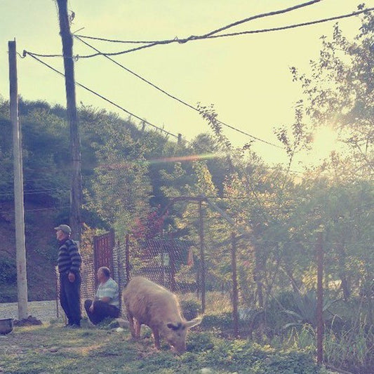 1. Apie sunkiausią elementą pasaulyje ir kaip aš praėjau pro Evos Mendes miegamąjį