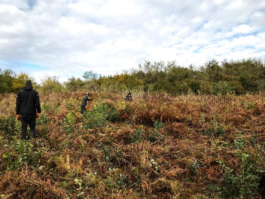 Renegade Tea Estate plantation team
