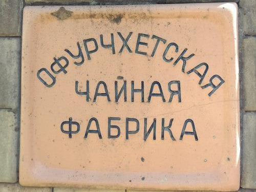 My Soviet childhood and Renegade Tea Estate