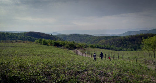 12. Renegade. Darbo diena. (1 dalis)