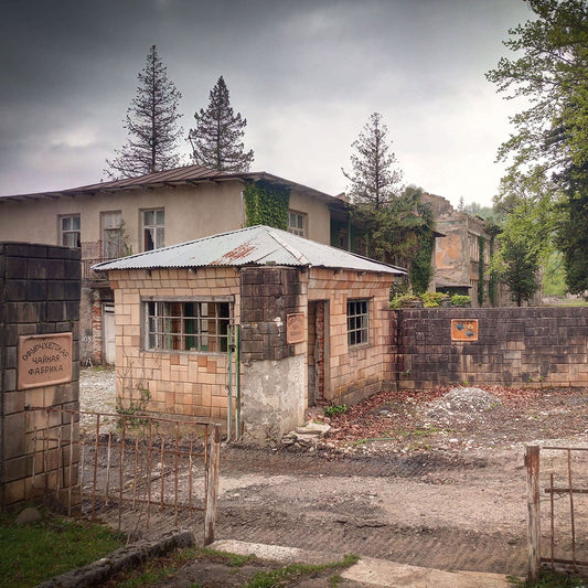 6. Ieškok su žiburiu: darbo rinkos Gruzijos kaime viršūnėlės ir šaknelės