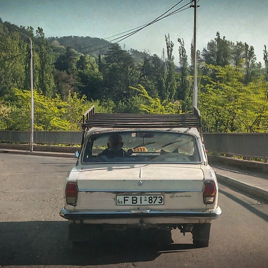 2. Kaip aš galiausiai pasiekiau Gruziją ir arbatos plantacijos reabilitacijos pradžiamokslis. (I dalis)