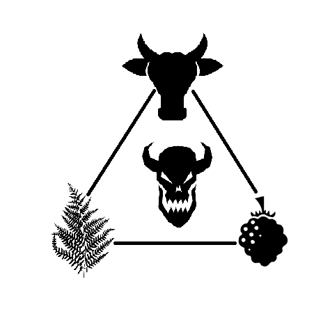 4. Kaip aš galiausiai pasiekiau Gruziją ir arbatos plantacijos reabilitacijos pradžiamokslis.(IIIdalis)