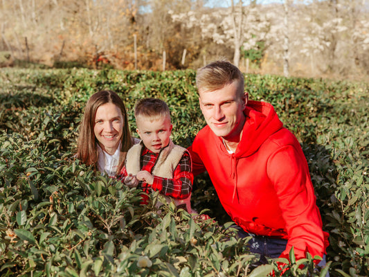 4 years as tea farmers