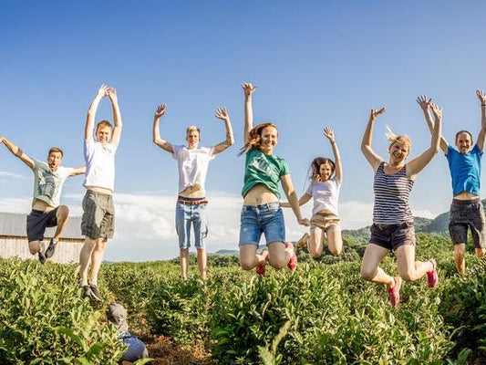 Kaks ja pool aastat Gruusias