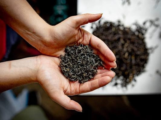 Differences between Orthodox and CTC teas