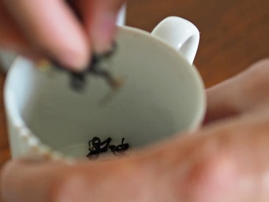 How to have a tea tasting event like the Renegades