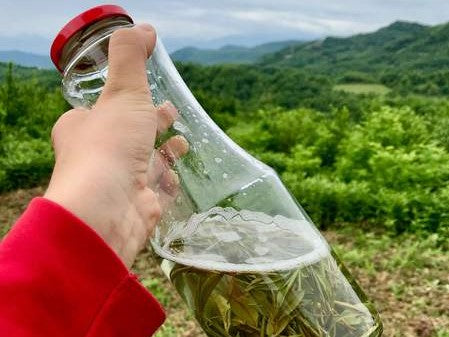 Kuidas teha jääteed?