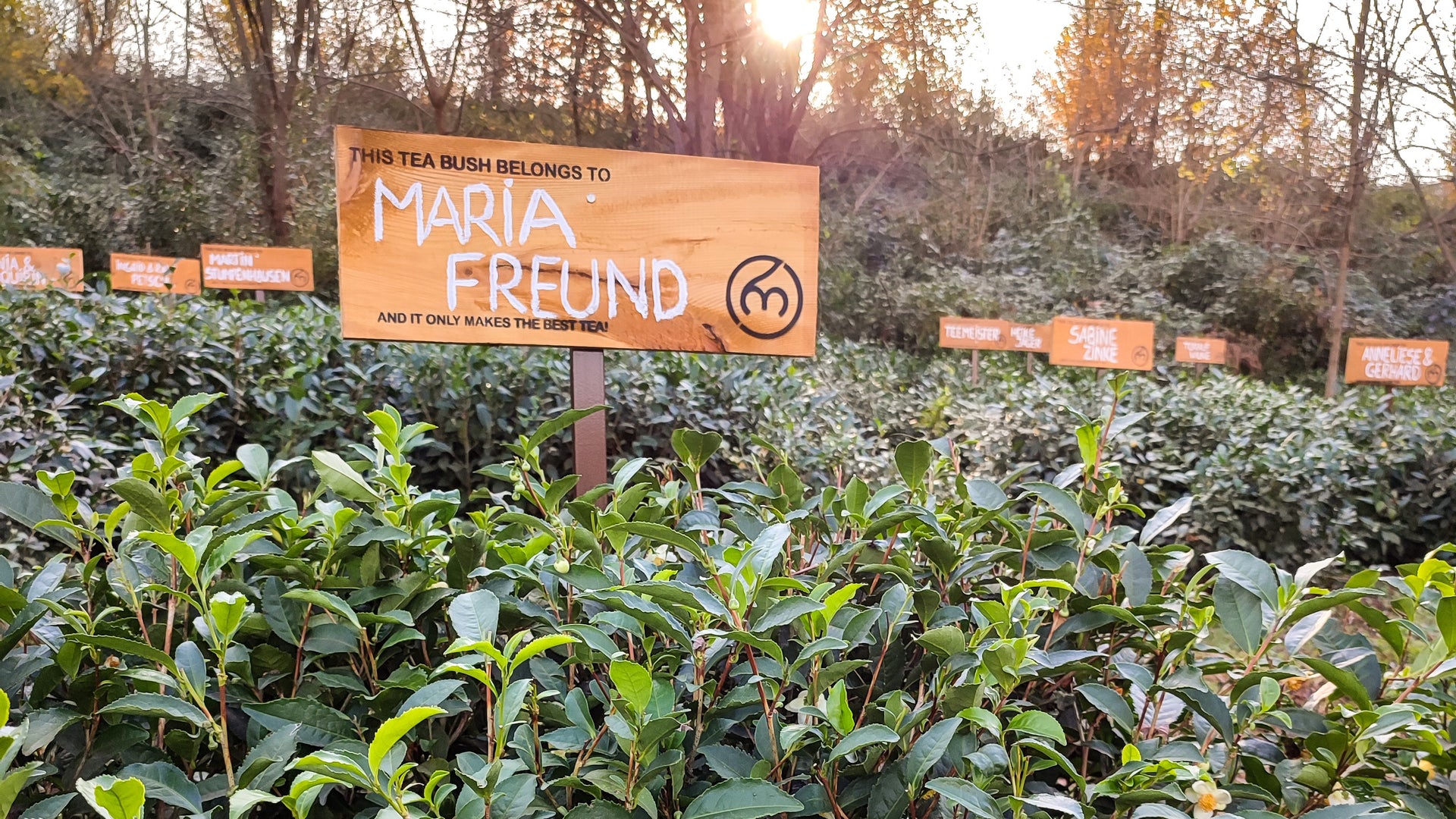 Load video: See how the Community Garden looks like