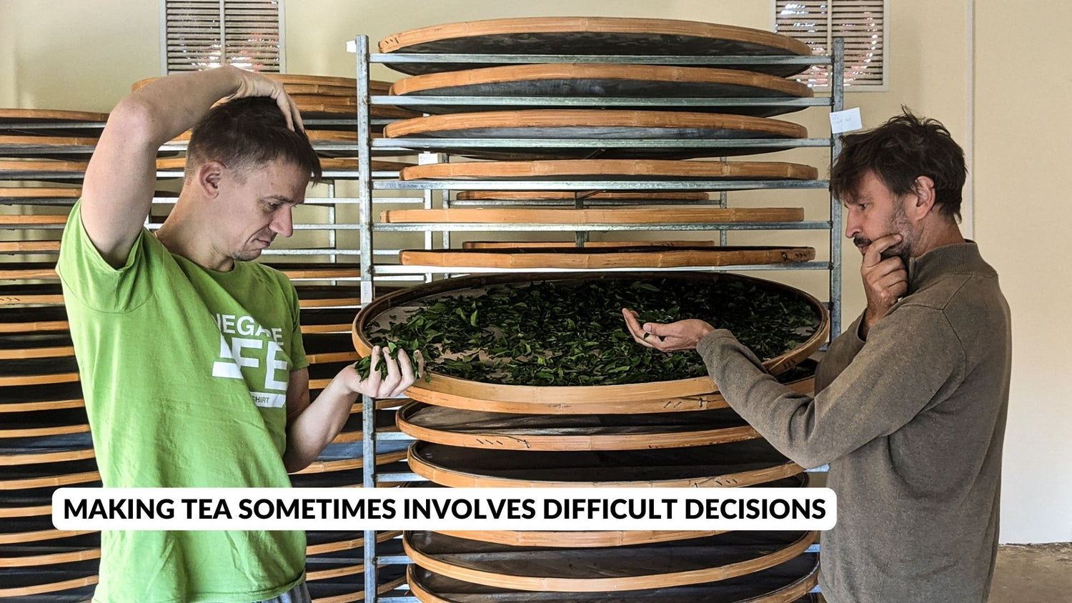 Legendary Tea Master Bootcamp – Learn to make tea on our farm ...