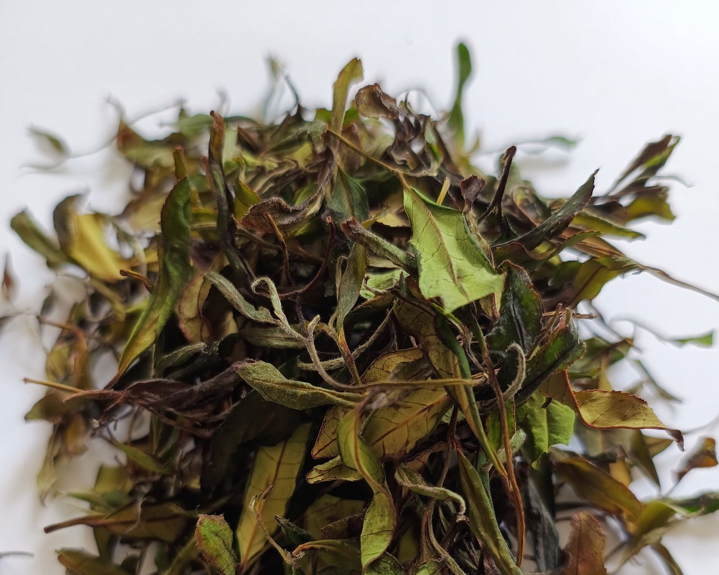 Grey King 140g - white tea