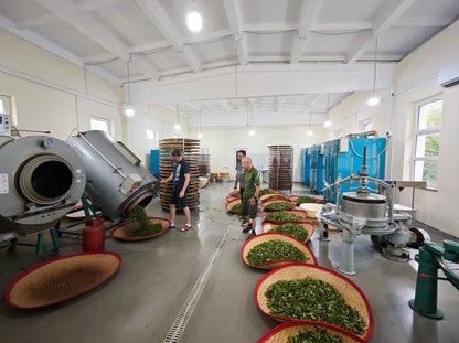 Legendary Tea Master Bootcamp - booking fee