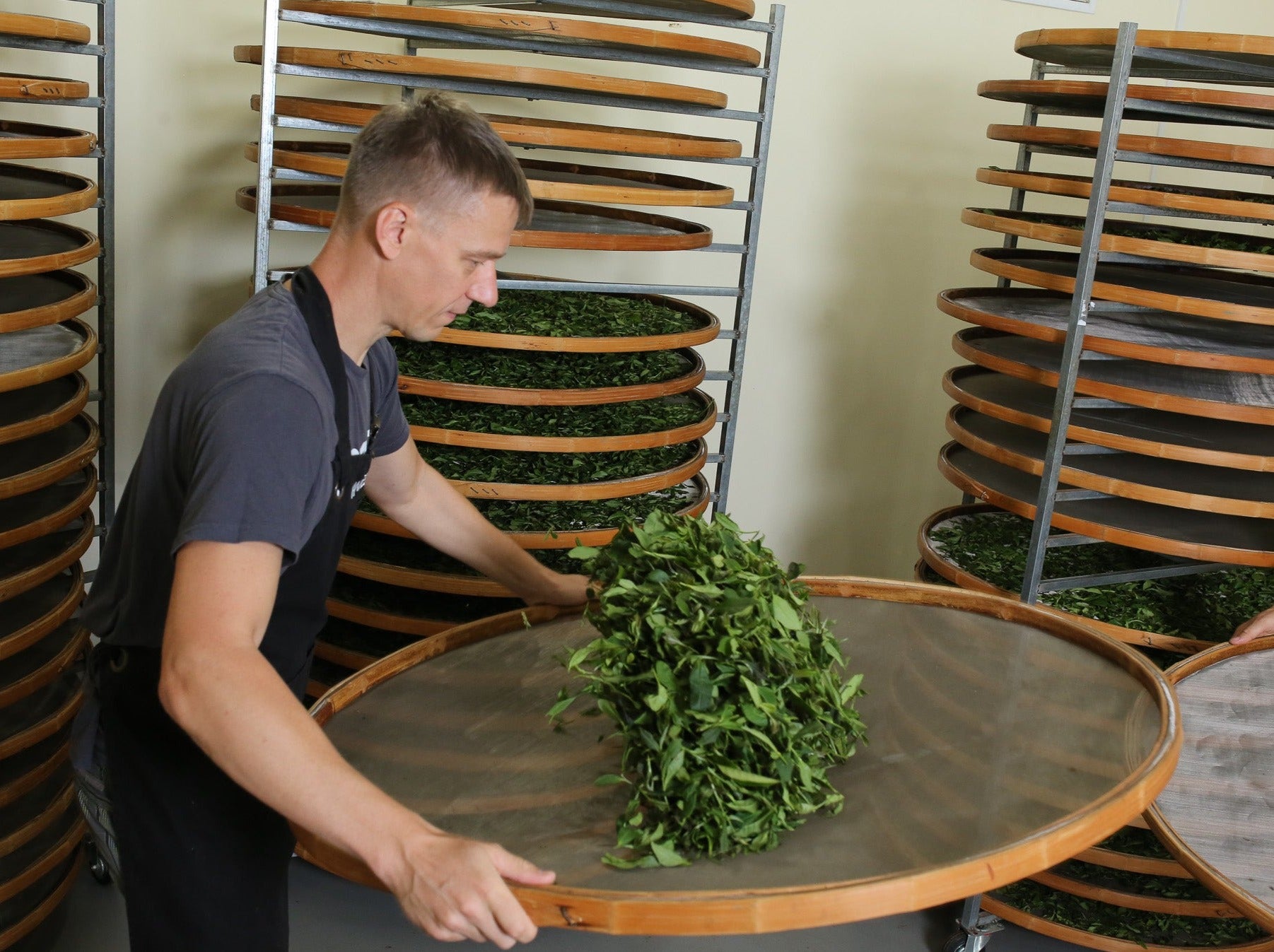Legendary Tea Master Bootcamp - booking fee – Renegade Tea Estate
