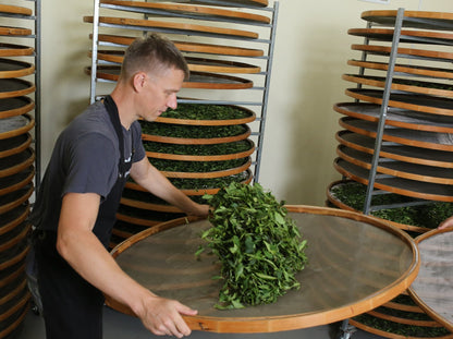 Legendary Tea Master Bootcamp - booking fee