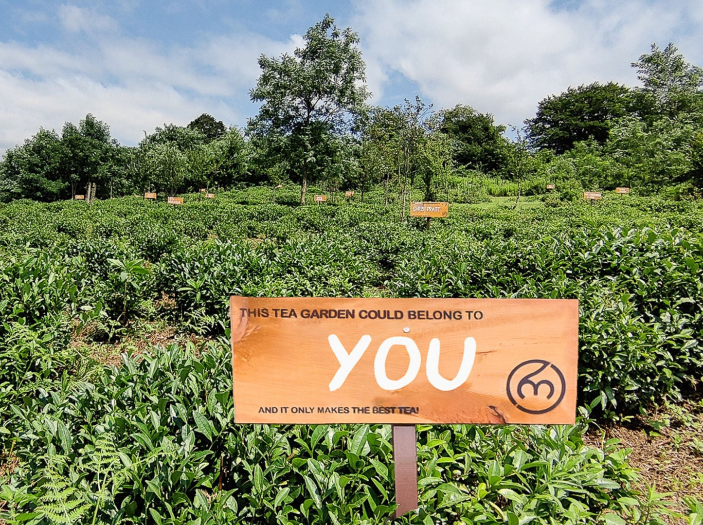 A sign for your garden