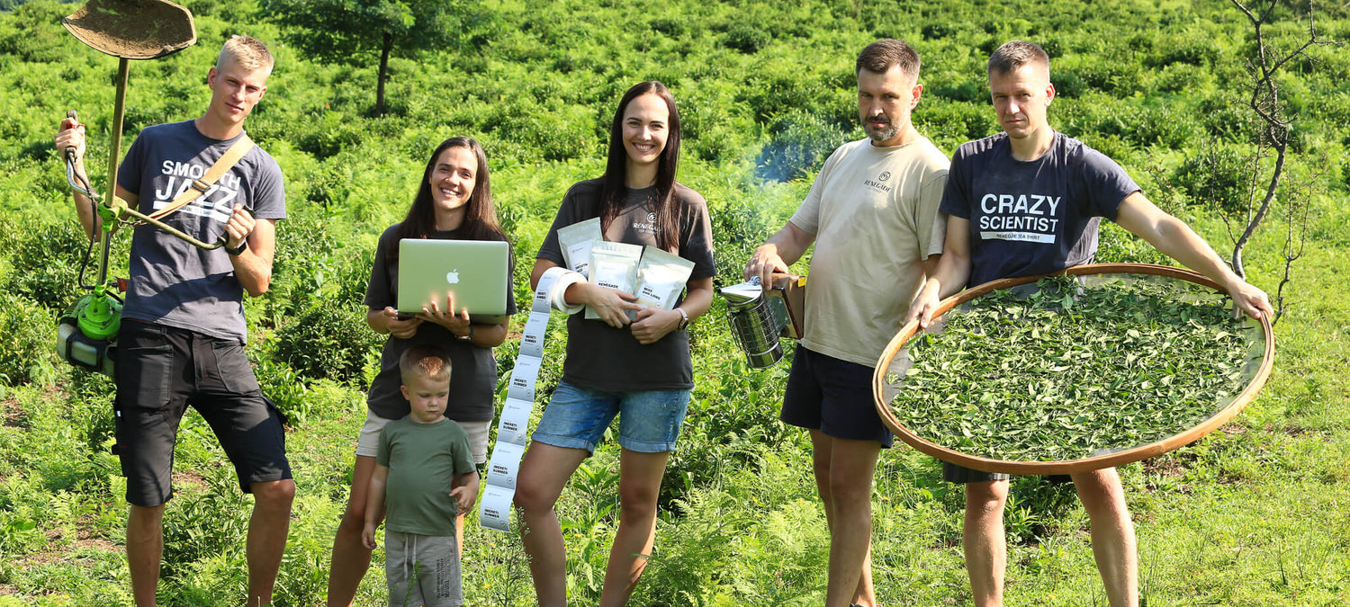 Renegade tea farmers - a group of friends from the Baltics, growing tea in Georgia.