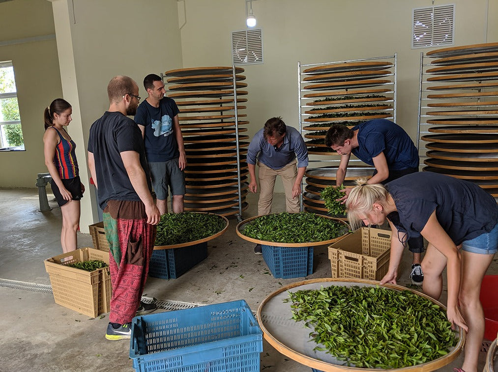 Legendary Tea Master Bootcamp - booking fee